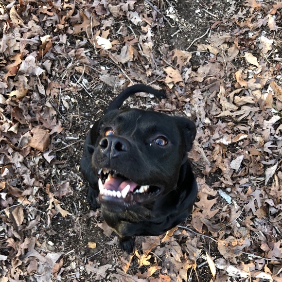 Meet your Posher, Gabrielle - Picture 1 of 1